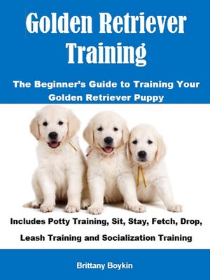 cover image of Golden Retriever Training